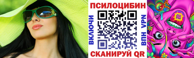 цена Минусинск Псилоцибиновые грибы Psilocybe